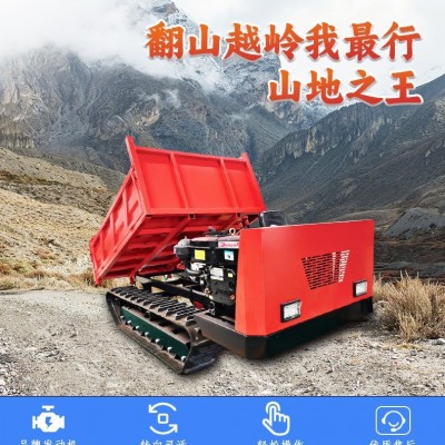 現(xiàn)貨小型履帶運輸車廠家多功能爬山虎果園搬運履帶運輸車工程裝卸