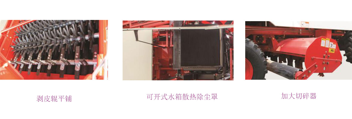 春雨CP M40細節(jié)圖