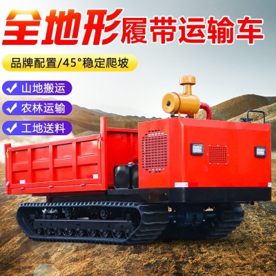 爬山虎履帶運(yùn)輸車全地形農(nóng)用山地果園拉貨小型爬坡王多功 能柴油車