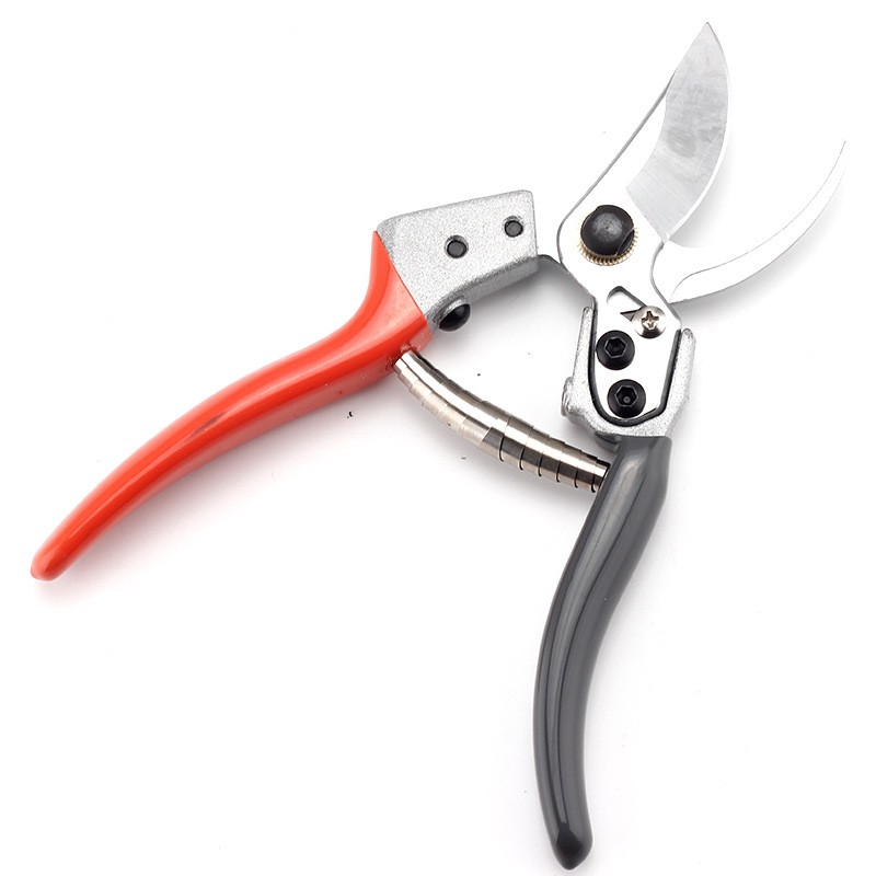 剪枝果樹修枝剪刀園藝園林修花枝剪家用強(qiáng)力剪子神器花剪剪枝剪刀
