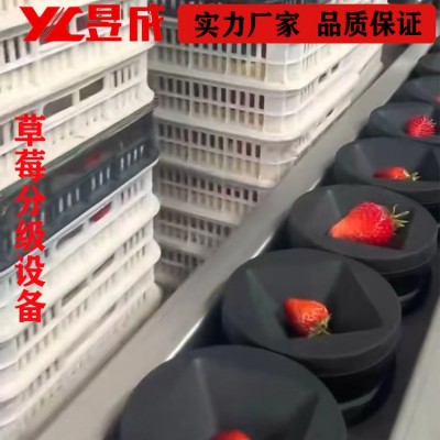 重量糖度 草莓分選機 西瓜分級機 水果分選設(shè)備 自動選果機