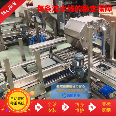 自動(dòng)稱重系統(tǒng)機(jī)械 生產(chǎn)線末端稱重裝箱設(shè)備 糖果食品加工通用裝置