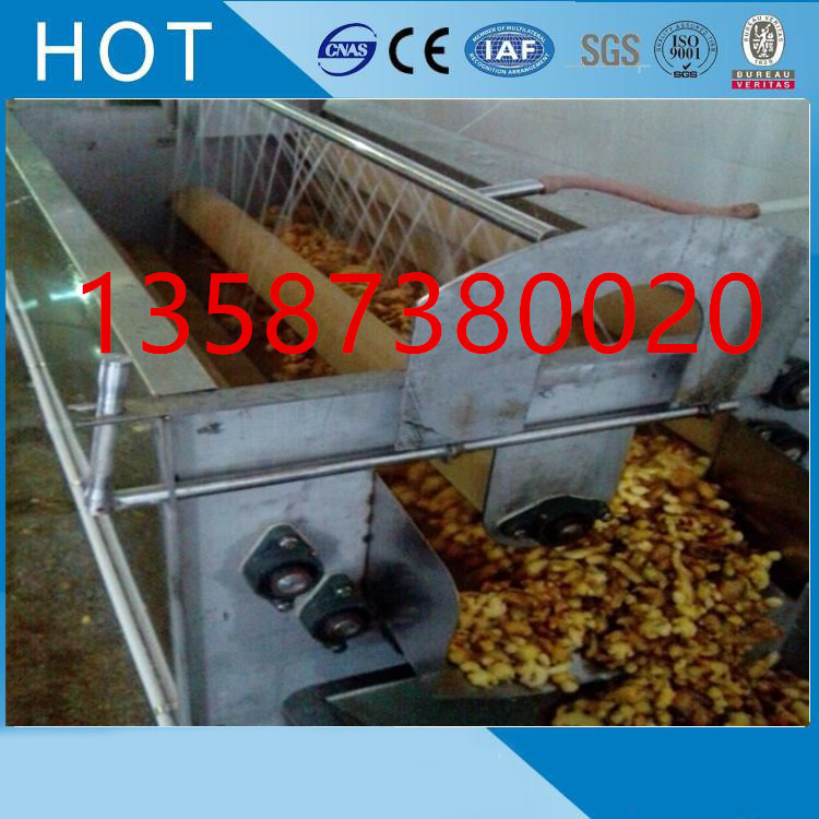 青刀豆去尖機(jī)3