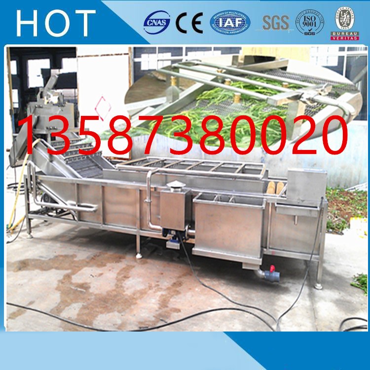 斜沖式果蔬清洗機高壓水噴淋循環(huán)毛刷滾筒氣泡清洗機渦流式清洗機