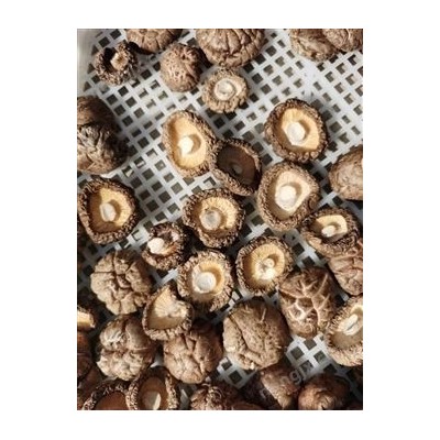 多層網(wǎng)帶式烘干機,食用菌類烘干機