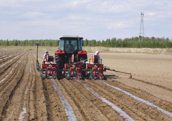 大博2BQP-6氣吸式精量鋪膜點(diǎn)播機(jī)