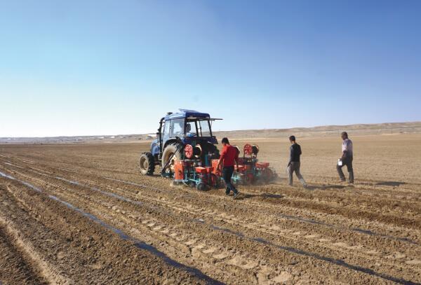 大博2BQP-6氣吸式精量鋪膜點(diǎn)播機(jī)