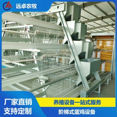 蛋雞養(yǎng)殖自動(dòng)化設(shè)備福建漳州四層階梯立體蛋雞 a型階梯蛋雞籠