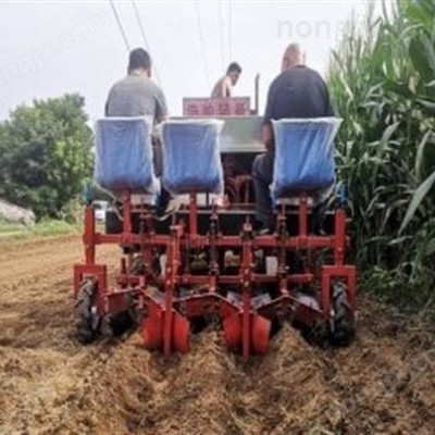 新型藥材移栽機(jī)