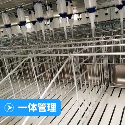 落地式復合板母豬限位欄 熱鍍鋅加厚保育養(yǎng)殖豬用可定制