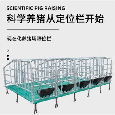 復(fù)合板限位欄 熱鍍鋅母豬定位欄 落地式限位 欄