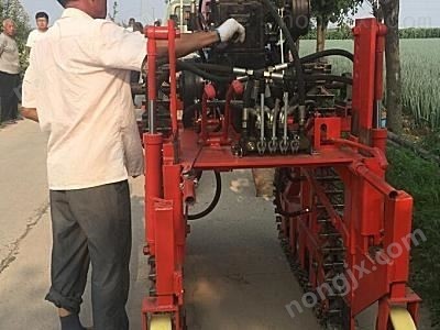 成帆DX-22型大蔥收獲機(jī)