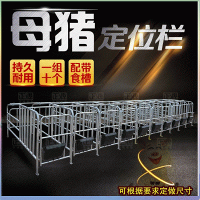 養(yǎng)殖場用 厚熱鍍鋅管大架厚鋼板食槽子落地母豬定位欄限位欄 工廠
