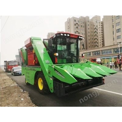 嘉駿4QZ-10型自走式青飼料收獲機(jī)