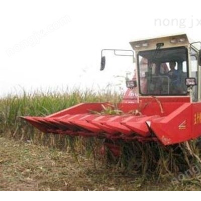 自走式玉米收割機(jī)