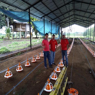 自動料線 平養(yǎng)雞自動料線 散養(yǎng)肉雞料線 雞自動喂料設(shè)備鴨子鵝料