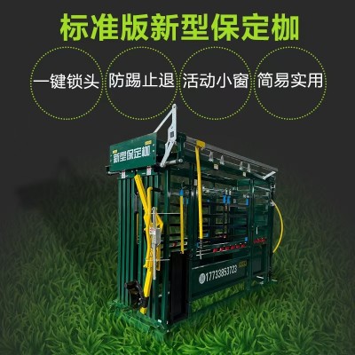 標(biāo)準(zhǔn)版新型牛用防疫保定枷