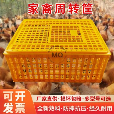 雞籠周轉(zhuǎn)箱家用特大號雞籠子鴨鴿兔雞用家禽運輸筐養(yǎng)殖籠塑料雞框