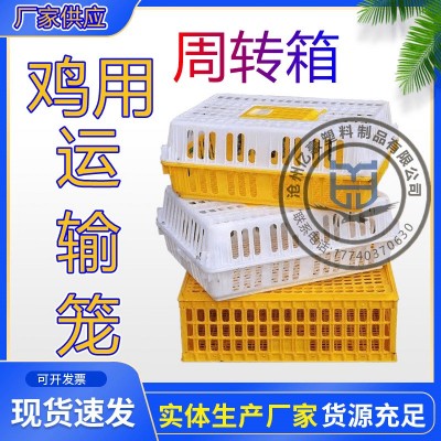 雞籠周轉(zhuǎn)箱塑料雞箱雞運(yùn)輸籠周轉(zhuǎn)籠 鴿兔運(yùn)輸籠 家禽周轉(zhuǎn)筐 雞筐