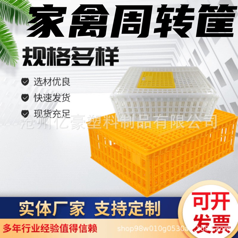 雞用運輸籠雞用周轉(zhuǎn)箱雞運輸籠 雞鴨周轉(zhuǎn)筐 成雞周轉(zhuǎn)箱 運輸籠具