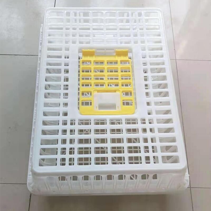 定制雞籠周轉(zhuǎn)箱塑料雞箱運輸籠周轉(zhuǎn)籠 鴿兔家禽運輸籠周轉(zhuǎn)筐 雞筐