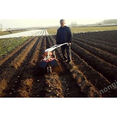 土豆開(kāi)溝起壟機(jī)
