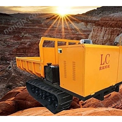 良誠(chéng)3噸履帶運(yùn)輸車