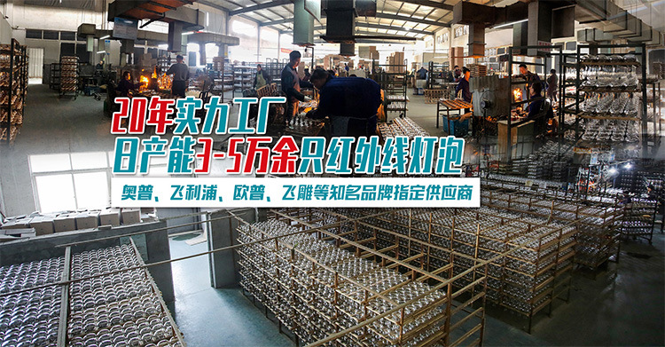 養(yǎng)殖取暖燈-01_01