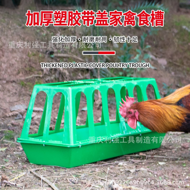 養(yǎng)殖設(shè)備自動(dòng)喂雞鴨槽長(zhǎng)型喂雞喂鵝喂鴨塑料喂水槽家用飼料通加厚