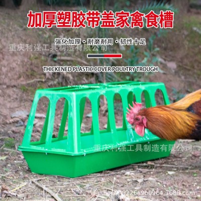 養(yǎng)殖設(shè)備自動(dòng)喂雞鴨槽長(zhǎng)型喂雞喂鵝喂鴨塑料喂水槽家用飼料通加厚