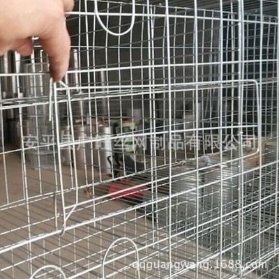 廣旺絲網(wǎng) 鴿籠廠家 肉鴿籠 三層十二位鴿籠 鴿子籠批發(fā)