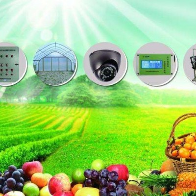 農(nóng)業(yè)智能環(huán)境監(jiān)控系統(tǒng)