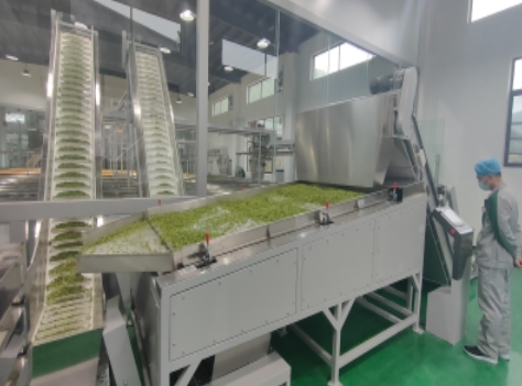 毛尖茶生產(chǎn)線(xiàn)
