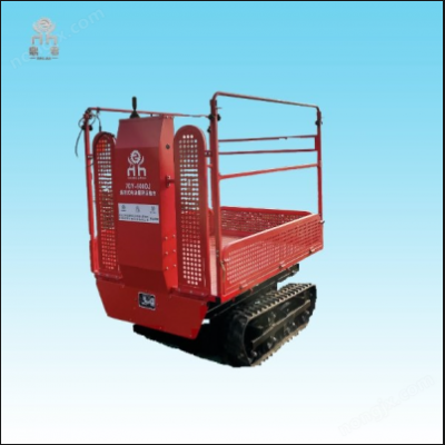 電動(dòng)遙控運(yùn)輸機(jī)