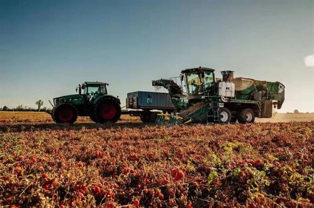 意大利MTS THR自走式番茄采收機(jī)