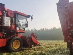 濰坊“三秋”保障、農(nóng)機(jī)作業(yè)、烘干點(diǎn)、履帶式收獲機(jī)信息一覽