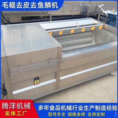 果蔬清洗機 香菇毛輥清洗設(shè)備 土豆紅薯去皮機 不銹鋼清洗設(shè)備