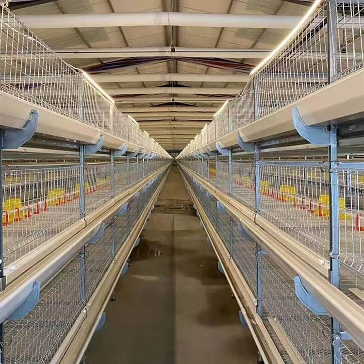 肉雞籠養(yǎng)設(shè)備全自動(dòng)肉雞籠養(yǎng)雞設(shè)備 養(yǎng)殖場(chǎng)可用管理方便