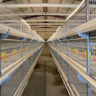 肉雞籠養(yǎng)設備全自動肉雞籠養(yǎng)雞設備 養(yǎng)殖場可用管理方便