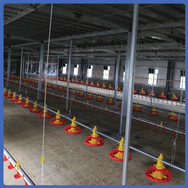 養(yǎng)雞水線 喂養(yǎng)設(shè)備 不易變形 發(fā)貨較快 拆裝簡(jiǎn)便