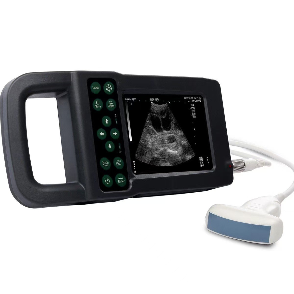 獸用B超機(jī)凱信KX5600W背膘測(cè)定儀羊孕檢儀便攜式防水母豬用測(cè)孕儀