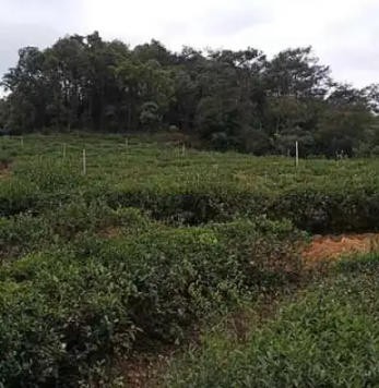 泉州灌溉工程-灌溉工程施工-福州雨順灌溉(推薦商家)（面議）