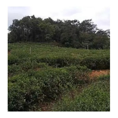 泉州灌溉工程-灌溉工程施工-福州雨順灌溉(推薦商家)（面議）