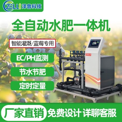 水肥一體機(jī)藍(lán)莓精量農(nóng)業(yè)全智能果園農(nóng)田大棚過濾滴噴灌溉 施肥設(shè)備