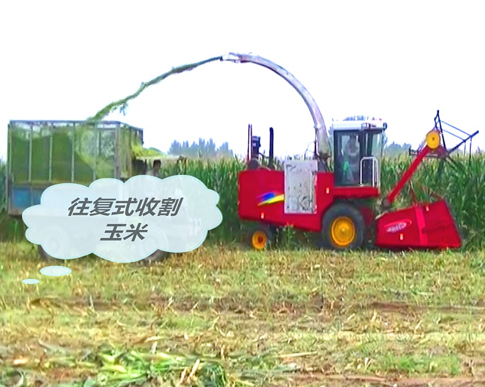 往復(fù)式收割玉米_看圖王.jpg