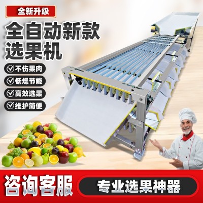 全自動選果機(jī)水果篩選機(jī)李子圣女果金桔櫻桃檳榔百香果水果分選機(jī) 1臺
