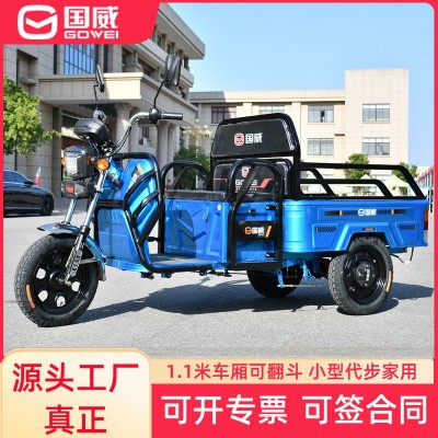 國(guó)威電動(dòng)三輪車(chē)小型載人載貨農(nóng)用家用載重拉貨電瓶車(chē)電動(dòng)車(chē)擺攤新 1輛
