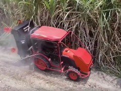 神奇的農(nóng)機(jī)設(shè)備，修理甘蔗的，第一次見(jiàn)