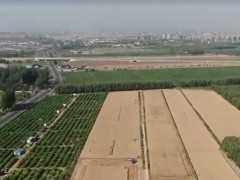 全球連線(xiàn)｜無(wú)人農(nóng)機(jī)助力農(nóng)業(yè)智能化發(fā)展