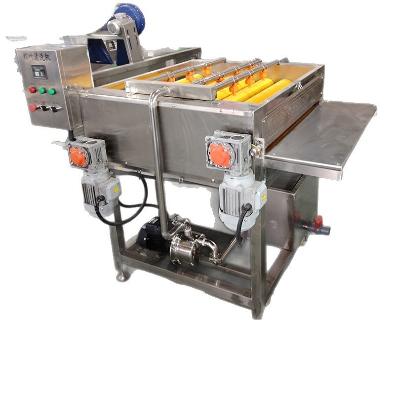 毛輥清洗設(shè)備 荷葉清洗流水線 粽葉 芭蕉葉 蘆葦葉商用大型清洗機(jī)